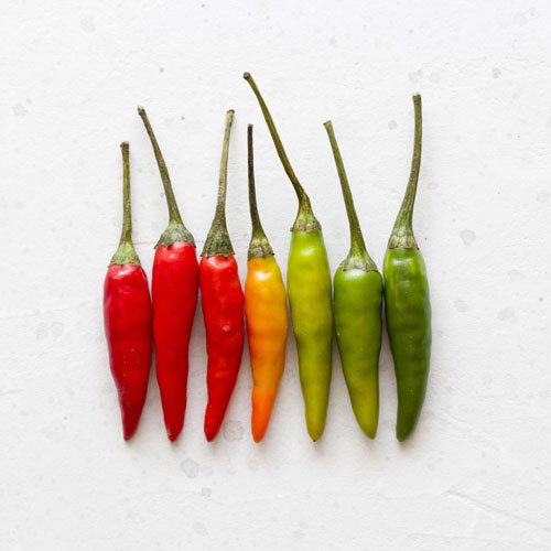 Why We Crave Spice & the Health Benefits of Chili Peppers